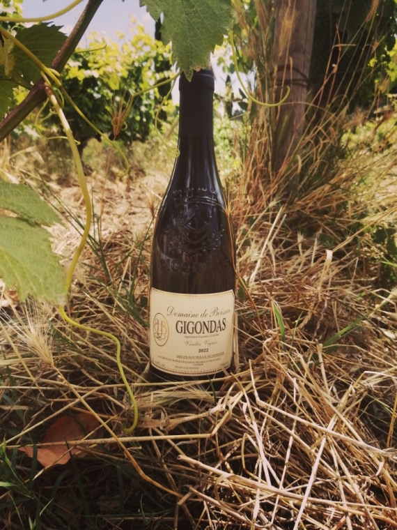 Domaine de Boissan à Sablet vous propose son niveau millésime Gigondas Vieilles Vignes, Sablet, Domaine de Boissan